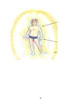 Referāts 'Aura un čakras', 44.