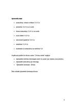 Prakses atskaite 'Prakses atskaite SIA "Saules rasa"', 9.