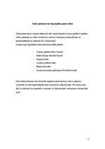 Prakses atskaite 'Prakses atskaite SIA "Saules rasa"', 15.