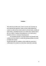 Prakses atskaite 'Prakses atskaite SIA "Saules rasa"', 16.