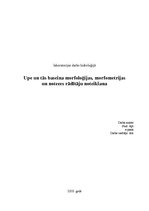 Paraugs 'Upe un tās baseina morfoloģijas, morfometrijas un noteces rādītāju noteikšana. M', 1.