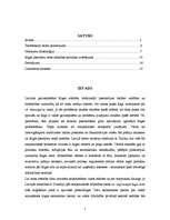 Referāts 'Rīgas pasažieru ostas attīstības politiskie aspekti', 2.