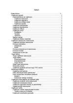 Biznesa plāns 'Biznesa plāns', 2.