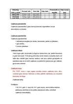 Biznesa plāns 'Biznesa plāns', 6.