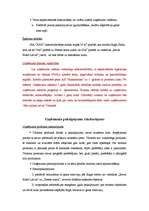 Biznesa plāns 'Biznesa plāns', 8.