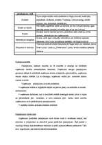 Biznesa plāns 'Biznesa plāns', 10.