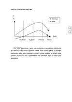 Biznesa plāns 'Biznesa plāns', 11.