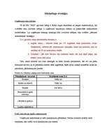 Biznesa plāns 'Biznesa plāns', 18.