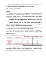 Biznesa plāns 'Biznesa plāns', 19.