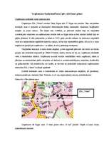 Biznesa plāns 'Biznesa plāns', 21.