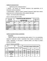 Biznesa plāns 'Biznesa plāns', 22.