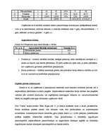 Biznesa plāns 'Biznesa plāns', 23.