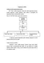 Biznesa plāns 'Biznesa plāns', 25.