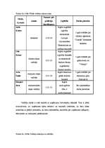 Biznesa plāns 'Biznesa plāns', 26.