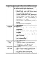 Biznesa plāns 'Biznesa plāns', 27.