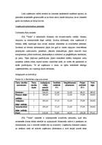 Biznesa plāns 'Biznesa plāns', 28.