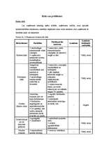 Biznesa plāns 'Biznesa plāns', 30.