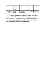 Biznesa plāns 'Biznesa plāns', 31.