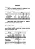 Biznesa plāns 'Biznesa plāns', 32.