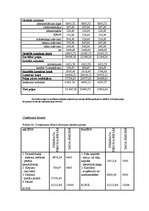 Biznesa plāns 'Biznesa plāns', 33.