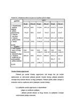 Biznesa plāns 'Biznesa plāns', 34.