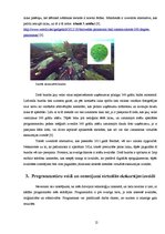 Referāts 'Virtuālā ekskursija', 12.