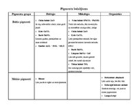 Konspekts 'Krāsu pigmentu klasifikācija', 1.