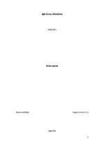 Referāts 'Zobu pastas', 1.