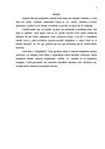 Referāts 'Kopīpašums', 3.