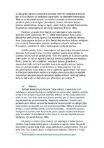 Referāts 'Pārstāvniecības institūts komerctiesībās', 8.