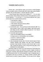 Referāts 'Ģeofizikālo izpētes metožu pielietošanas iespējas ģeotehniskajā izpētē', 6.