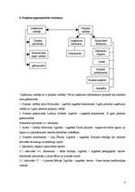 Referāts 'Uzņēmējdarbības veicināšana un MVU attīstības sekmēšana Ludzas rajonā', 9.