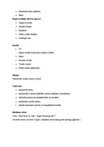 Paraugs 'Reklāmas ideja', 2.