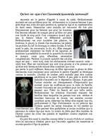 Referāts 'Les maladies des princesses - anorexie et boulimie', 3.