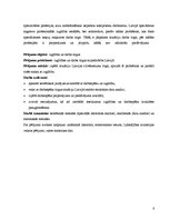 Diplomdarbs 'Izglītības un darba tirgus mijiedarbība Latvijā', 6.