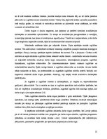 Diplomdarbs 'Izglītības un darba tirgus mijiedarbība Latvijā', 22.