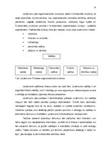 Diplomdarbs 'Uzņēmuma "X" darbības analīze un attīstības perspektīvas', 33.