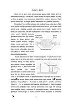 Referāts 'Lāzeri', 5.