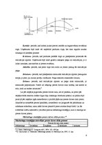 Konspekts 'Produkts un tā vadīšana', 6.