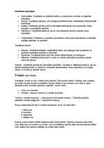 Konspekts 'Domāšana', 2.