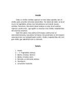 Referāts 'Tehniskās avārijas', 2.