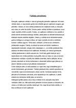 Eseja 'Vadītāja pienākumi', 1.