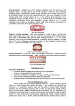 Konspekts 'Oromiofunkcionālā terapija', 5.