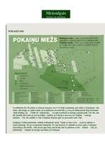 Konspekts 'Pokaiņi', 1.