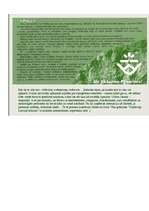 Konspekts 'Pokaiņi', 2.