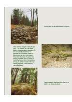 Konspekts 'Pokaiņi', 3.