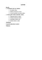 Referāts 'Reklāmas ietekme uz patērētāju', 2.