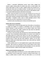 Referāts 'Reklāmas ietekme uz patērētāju', 13.