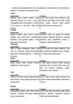 Referāts 'Reklāmas ietekme uz patērētāju', 17.