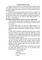 Referāts 'Reklāmas ietekme uz patērētāju', 19.